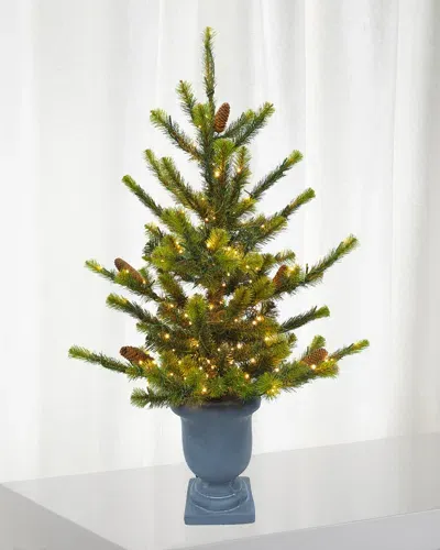 Winward Home Deluxe Village Mix Pine 3.5' Potted Pre-lit Christmas Tree In Green