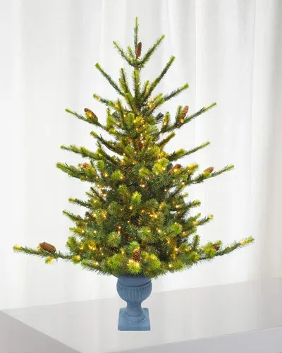 Winward Home Deluxe Village Mix Pine 5' Potted Pre-lit Christmas Tree In Green