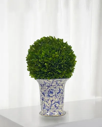 Winward Home Preserved Boxwood Ball In Porcelain Vase - 14" In Green