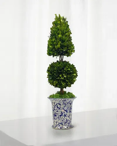 Winward Home Preserved Coneball Boxwood Topiary In Porcelain Vase - 24" In Green