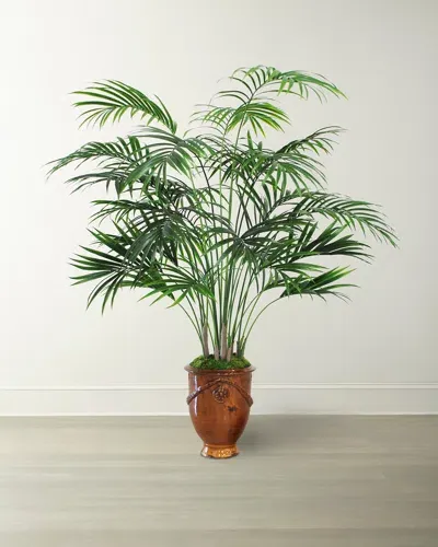 Winward Home Small Kentia Palm Tree In Urn In Green