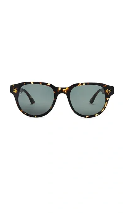 Wonderland Hesperia Sunglasses In Brown