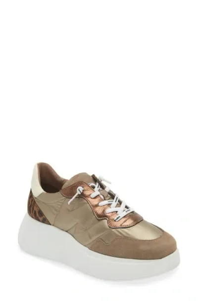 Wonders Roma Taupe Mixed Textile Chunky Trainers In Gold Metalic