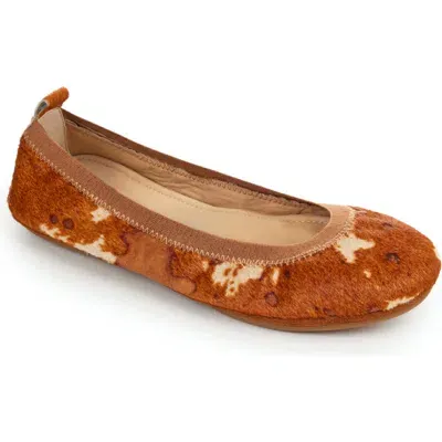 Yosi Samra Samara Genuine Calf Hair Foldable Ballet Flat In Whiskey Calf Hair