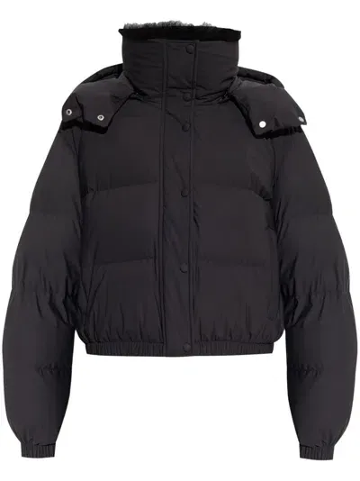 Yves Salomon High-neck Puffer Jacket In Black