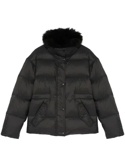 Yves Salomon Lambswool-trim Puffer Jacket In Black