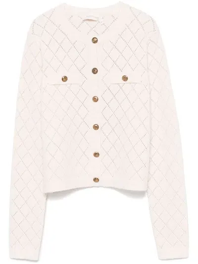 Zimmermann Illustration Cardigan In Pink