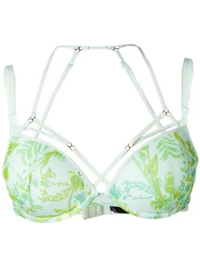 Marlies Dekkers Jardin Des Herbs Push Up Bra In Green