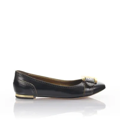 Giuseppe Zanotti Classic Ballet Flats In Brown