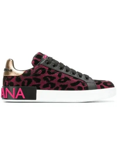 Dolce & Gabbana Leopard Print Classic Sneakers In Pink