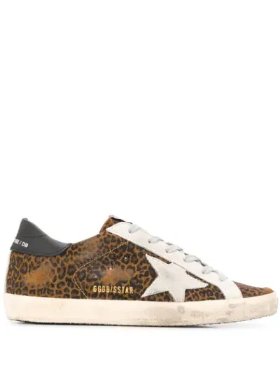 Golden Goose Star Panel Sneakers In Brown