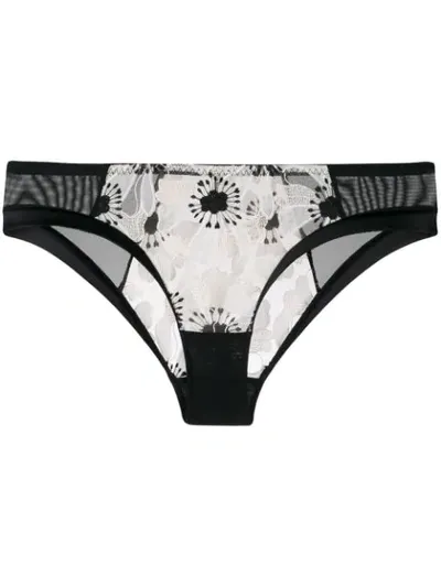 Myla Winchester Road Briefs In Black