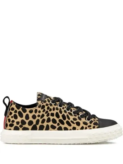 Giuseppe Zanotti Leopard-print Fur Flat Sneakers In Neutrals