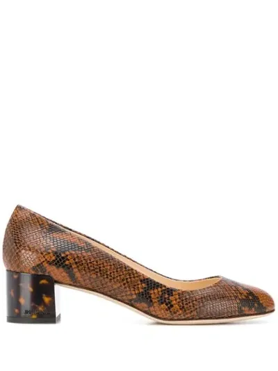 Jimmy Choo Jessie 40mm Snakeskin-effect Pumps In 大地色