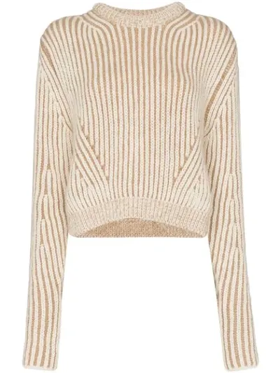 Chloé Two-tone Ribbed Sweater In Neutrals