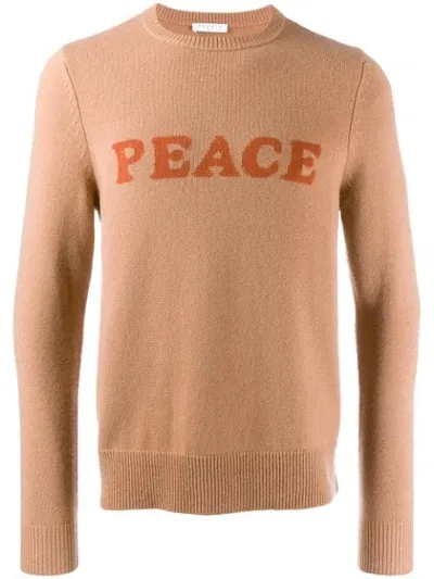 Sandro Peace Jumper In Brown