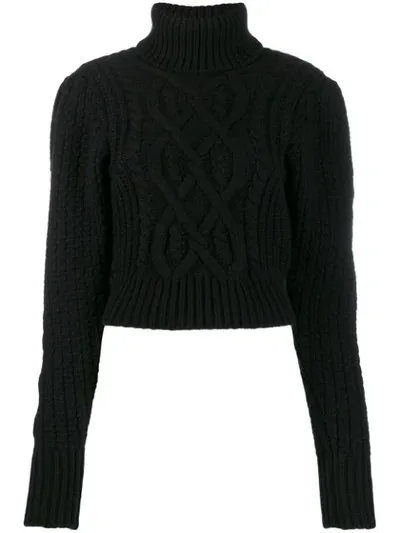 Wandering Cable-knit Roll Neck Sweater In Black