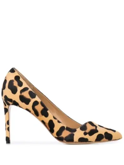 Francesco Russo Leopard Print Pumps In Neutrals