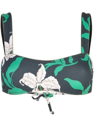 Morgan Lane Demi Floral Bikini Top In Black