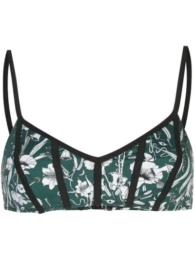 Morgan Lane Luna Floral Bikini Top In Green