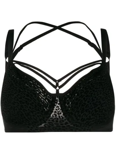 Marlies Dekkers Animal Pattern Padded Bra In Black