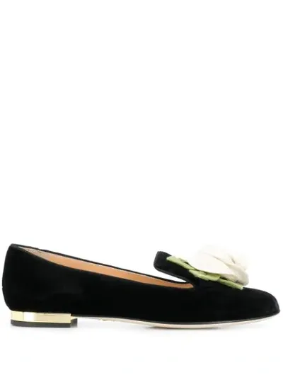 Charlotte Olympia Floral-embellished Velvet Flats In Black