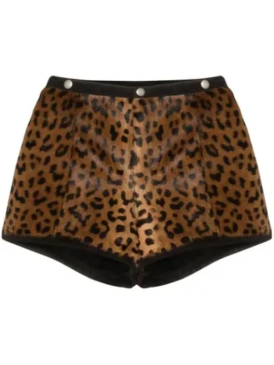 Saint Laurent Suede-trimmed Leopard-print Goat Hair Shorts In Leopard Print