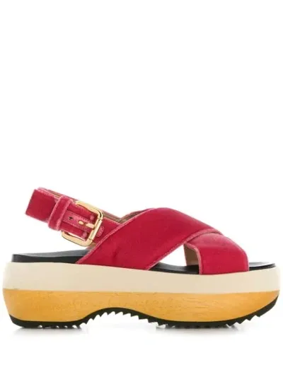 Marni Crisscross Platform Sandals In Pink