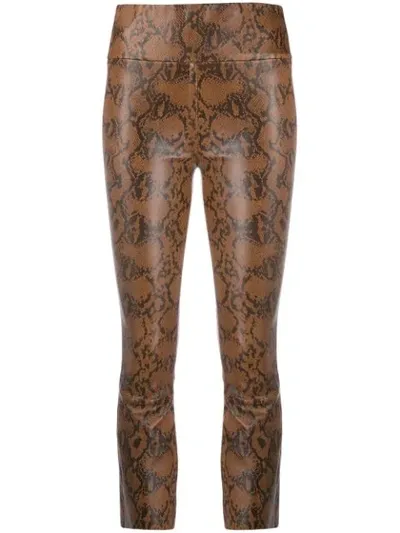 Sprwmn High Rise Snakeskin Print Trousers In Brown