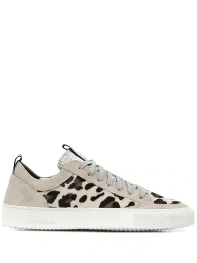 P448 Leopard In Neutrals