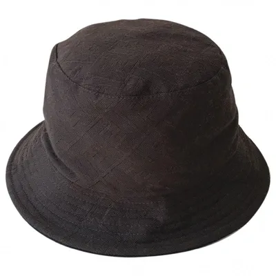 Pre-owned Fendi Wool Hat In Brown