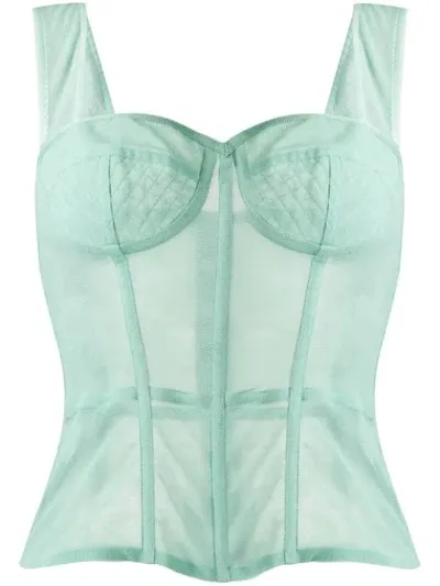 Dolce & Gabbana Bustier Fitted Top In Green