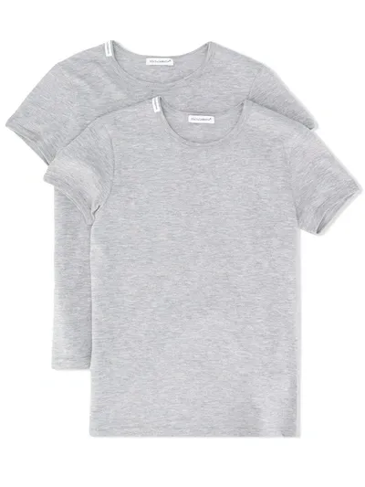 Dolce & Gabbana Kids' Basic Short Sleeve T-shirt Set Of Two In Grey