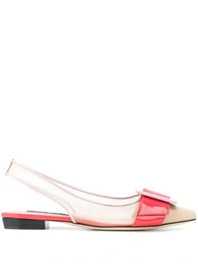 Sergio Rossi Slingback Mesh Pumps In Pink