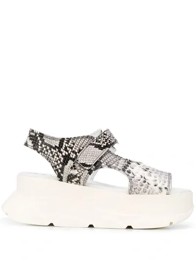 Joshua Sanders Women's Spice Snake-embossed Platform Wedge Sandals In White