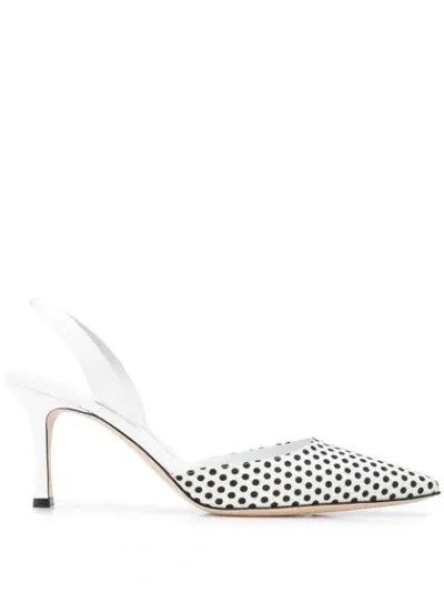 Manolo Blahnik Women's Carolyne Polka Dot Slingback Pumps In Black And White