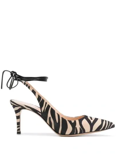 Gianvito Rossi Zebra Print 85mm Pumps In Neutrals