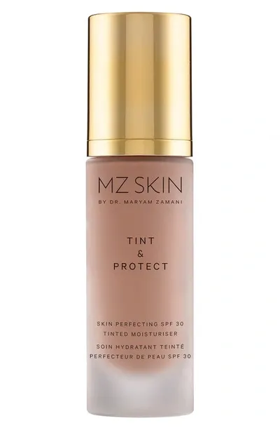 Mz Skin Tint & Protect Skin Perfecting Spf 30 Tinted Moisturiser 1 Oz. In N,a