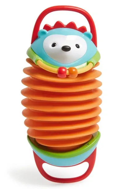 Skip Hop Kids' Hedgehog Accordion In Multi