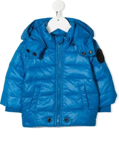 Diesel Babies' Padded Hooded Jacket In Blue