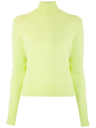 Gloria Coelho Turtle Neck Knit Jumper In Yellow