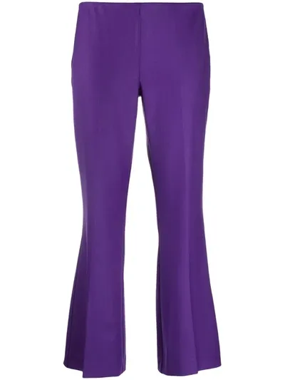 P.a.r.o.s.h Mid-rise Flared Trousers In Purple