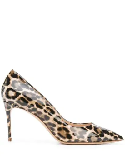 Casadei Leopard Print 90 Pumps In Brown