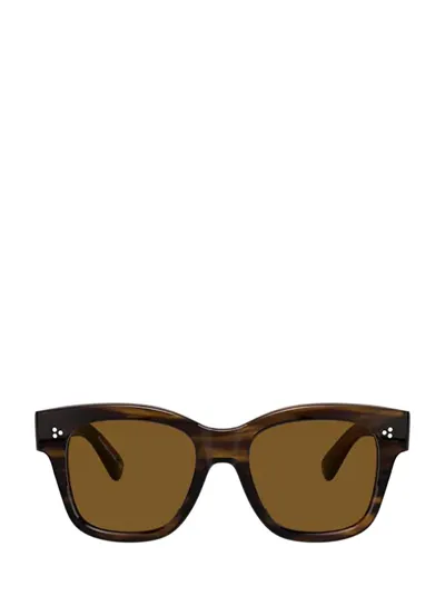 Oliver Peoples Ov5442su Bark Sunglasses In Brown Polar