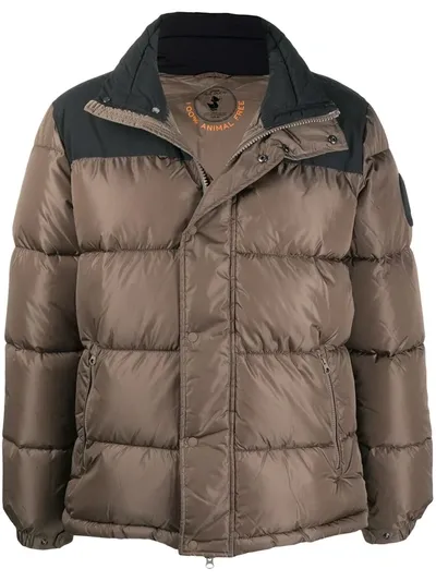 Save The Duck D3941u Memi Padded Jacket In Neutrals