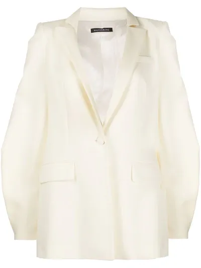 Wandering Balloon-sleeve Blazer In Neutrals