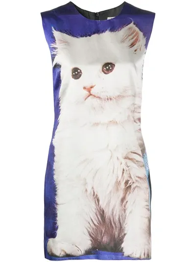 Ashley Williams Cat-print Shift Dress In Blue