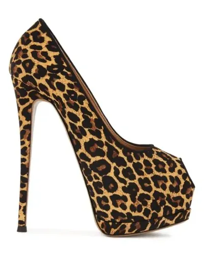 Giuseppe Zanotti Sharon Leopard-print Pumps In Neutrals