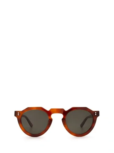 Lesca Pica Sun Light Tortoise Sunglasses In Brown