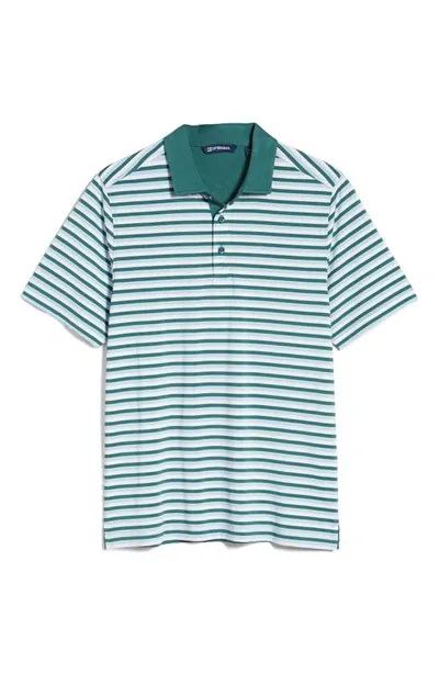 Cutter & Buck Forge Drytec Stripe Performance Polo In Green